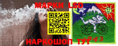 МДМА Новодвинск